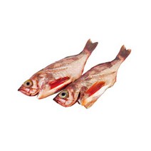 산지직송 가거도 불볼락 특대 2마리, 단품