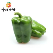 [우리가락] 청피망 2개 한팩, 상세 설명 참조