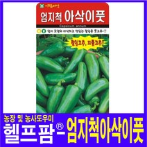 헬프팜 엄지척아삭이풋 50립 아람종묘 아삭이고추 씨앗