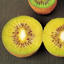 키위나무 묘목 - 골드키위 키1.5m(분) 1개 / 숫나무 필요