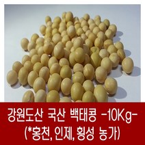 [다온농산] 2022년산 강원도산 햇 백태 메주콩 흰콩 -10Kg- 홍천군/인제군/횡성군 농가