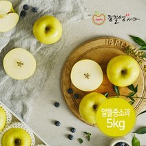 (롯데백화점)(장길영사과) 황금사과 시나노골드 알뜰 중소과 5kg(17-23과)