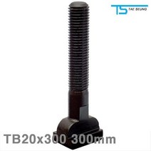 XIQ455063M20x2.5P T-슬롯볼트 TB20x300 34x20x14 300mm 태승클램프 (1EA)