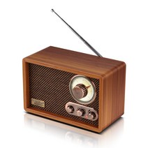 캔스톤 TR-1100 스타일리쉬 블루투스 라디오 스피커