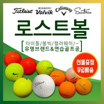 골프스토리/시즌맞이세일 / 판매특가 / 골프 스토리 로스트볼 / 타이틀 리스트 / 캘러웨이 / 볼빅 / 볼빅 컬러볼 / 혼합 흰볼 / 혼합 컬러볼 / 개인 연습볼 /, 15_일반 혼합 흰 볼 A+/A / 40개