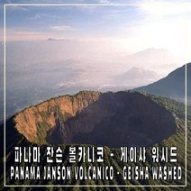 파나마 잔슨 게이샤 내추럴 직수입 커피 생두 1kg Janson Geisha .Lot280