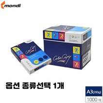 레이저 프린터용 A4 A3 복사 에이포 용지 100g 135g 160g 90g 미색 유광 백색 종류선택 1개, A3 백색 200g 1000매