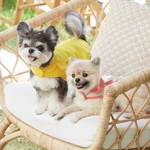 [반달펫] 무더위탈출 시원한 강아지 쿨조끼 3color, 옐로우