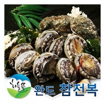 [완도참전복] 완도 참 전복 500g(11-13미), 상세 설명 참조, 상세 설명 참조