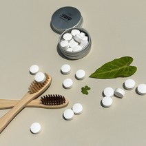 오하우 내몸에 착한 고체치약 씹는치약 10정 제로웨이스트, 고체치약 10정