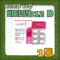 철분 12mg 세븐베리농축분말 복합기능성 4가지, 1통