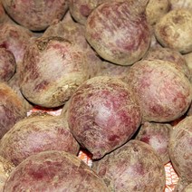 꼭지네 국내산 제주 레드비트 햇비트 특품 2kg 3kg 5kg 10kg, 비트 3kg