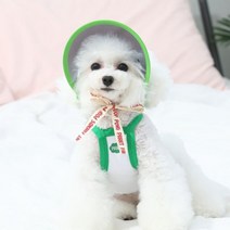 [오드스튜디오] 또또또 친구들 강아지썬캡 껴또 M, 단일옵션
