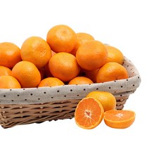 [빛과나무] 빛가득 제주하우스감귤 3kg(49내), 상세 설명 참조