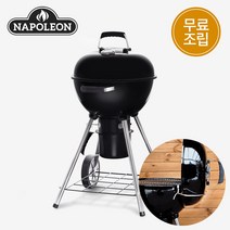캐나다 나폴레옹 프리미엄 47 바베큐그릴 정식 수입품 [뚜껑걸이대 증정]