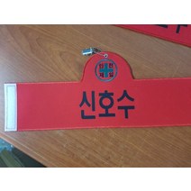 완장 신호수