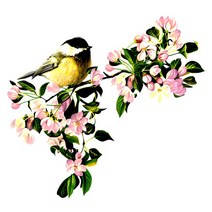 중식화구 중화렌지 3Ratels QC116 꽃 벽 스티커 침실을위한 가정 장식 중국 전통 회화 모란, 02 QC104_04 60cm( 23.62inch)