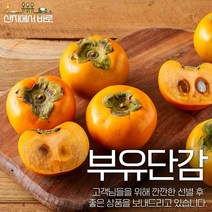 [산지에서바로] 당도선별 품질검증 22년 특대 햇 태추단감 고당도 단감 2kg 3kg 5kg 10kg, 일반 단감