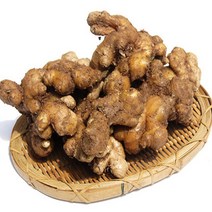 빛고을장터 국내산 생강 10kg 5kg 3kg 1kg, 1box, 03_국산 생강 5kg