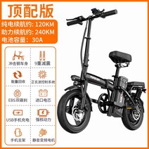 전기 자전거 전동 주행 접이식 출퇴근 배달, 0아, 최고급버전5