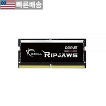 [G.SKILL 정품] G.Skill RipJaws DDR5 SO-DIMM 시리즈 32GB (2 x 16GB) 262핀 SDRAM 4800 CL40-39-76 1.10V 듀얼 채널, 16GB (1 x 16GB)