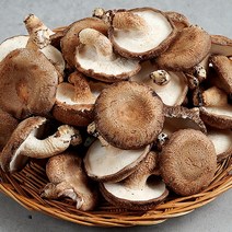 하회 생표고버섯 파지 1kg, 1개