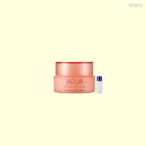 네이처리퍼블릭 수분크림 슈퍼아쿠아맥스 모이스처 건성용 크림 80ml 2개, 슈퍼아쿠아맥스 모이스처 건성용 크림 2개