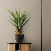알로에 나무 - 조화 화분 대형 인조 식물 실내조경 인테리어