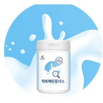 락토페린 MBP 분리유청단백 아르지닌 분리유단백 분말 모유 초유 가루 2통 WPC 밀크칼슘 유산균 WPI 어르신 노인 허약체질 영양보충 미셀라카제인 효능 속편한 단백질 추천