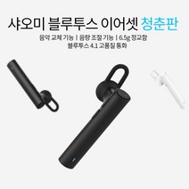 샤오미 무선 블루투스 이어셋 청춘판 LYEJ02LM, 블랙