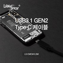 랜스타 USB3.1 GEN2 Type-C 고속충전 케이블(CM-CM 10Gbps) 충전케이블, LS-CMCM-0.3M