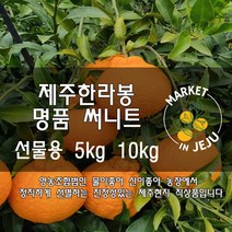 제주 한라봉 명품 써니트 한라봉 선물용 선물세트 5kg 10kg(산지직송), 명품 써니트 선물용 - 5kg(대과)