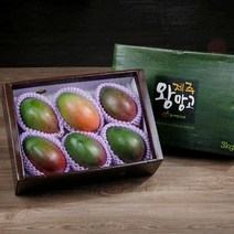 과일 왕망고 세트 선물세트 제주 프리미엄 국산 3호, 상세페이지 참조