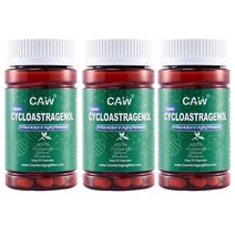 (번들) CAW 카운터에이징와이즈 나노 사이클로아스트라제놀 5mg 30캡슐 3통 CAW Cycloastragenol, 3개, 30정