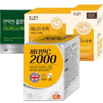 영국산 다농원 비타민c 2000mg(2gx90T)3개월분 110750, 영국산100프로 다농원 비타민c 2