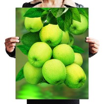 FASEN 캔버스액자 일체형 3D 원형 보석십자수 DIY 키트 50 x 40 cm, ZSP011.풋사과