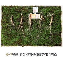 산삼어람 산양삼 산양산삼 산삼 자연산산삼 평창산양삼 잎 뿌리 씨앗 장뇌삼 동인발효삼 정품인증 이력제 6~7년근 5뿌리, 3