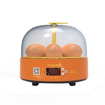온도조절 병아리키우기 관상용닭 부화기 메추리 부화통 병아리분양 사육장 병아리, C