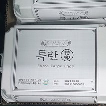 노브랜드 국산 특란 15개입 900g, 아이스박스 포장