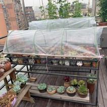 다육이겨울나기 미니온실 비닐하우스 베란다 옥상 식물 보온 조립식 화분 덮개 월동 바람막이, 길이 150 폭 50 높이 47 cm