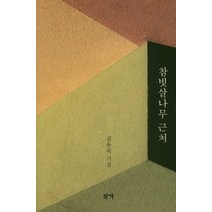 참빗살나무 근처:김윤숙 시집, 작가, 김윤숙