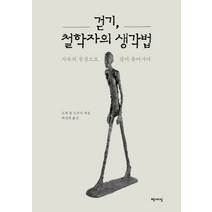 걷기 철학자의 생각법:사유의 풍경으로 걸어 들어가다, 책세상, 로제 폴 드루아