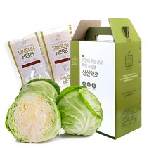 양배추즙 110mlx62포, 1, 본상품선택, 본상품선택