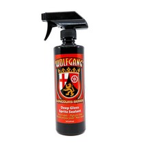 볼프강 DGSS 딥 글로스 스프리츠 실런트 차량용 스프레이 코팅제 16oz