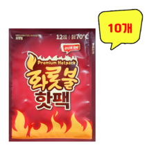 올덴 프리미엄 화롯불 손난로 핫팩 x 10개, 1개