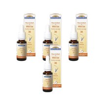 와일드 오트 25ml Biofloral Fleurs De Bach 36, 4팩