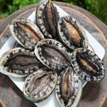 (평일 3시전 주문 당일발송) 완도전복 꼬마전복 ~ 왕특대전복, 1box, 1kg, 횟감용 1kg(13~14미)