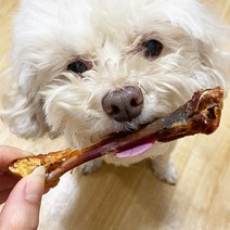 멍멍샵샵 반려견 애견 강아지 영양식 기력회복 수제 간식 오리목뼈, 360g, 1팩