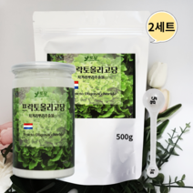 네덜란드 프락토올리고당 분말 신 프리바이오틱스 유산균분양 갈락토올리고당 이눌린 850g 2세트