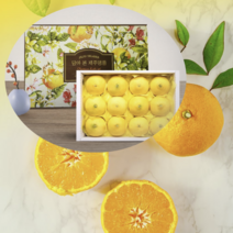 제주서귀포 황금향선물세트 고당도 풍부한과즙 중과4.5kg 20-26과, 단품, 단품
